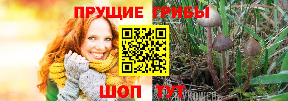 Псилоцибиновые грибы Magic Shrooms  Вход с VPN  Саратов  Галлюциногенные грибы Magic Shrooms 